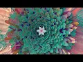 Lexer  - This World feat IDER
