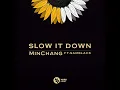 Slow It Down (feat. SAMBLACK)