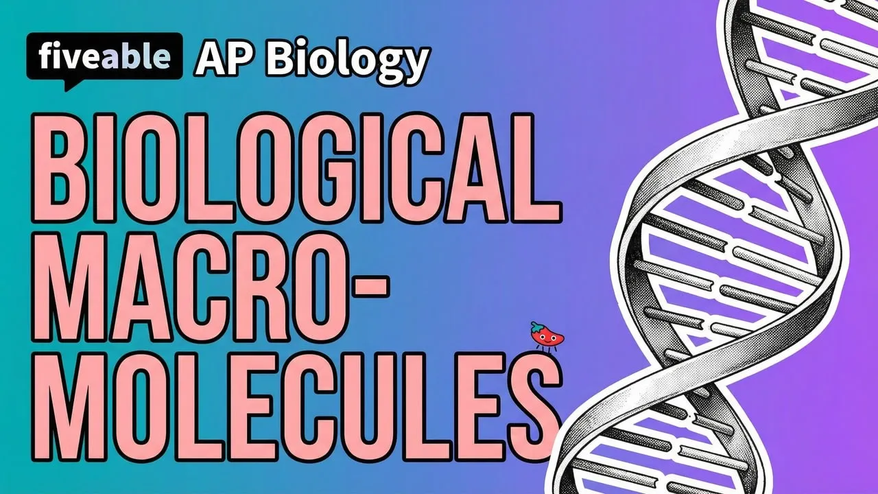 AP Biology - Biological Macromolecules