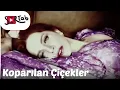 Download Lagu Sertab Erener - Koparılan Çiçekler