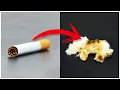 Download Lagu This is what happens in your lungs when you smoke a cigarette