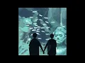 CASTLEBEAT - Cinema