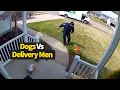 Top 12 Moments Dogs vs Delivery Drivers