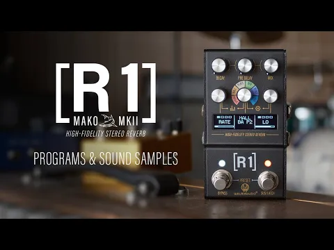 Walrus Audio R1 MkII Multi-Mode Stereo Reverb | Delicious Audio