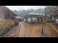 Download Lagu Walking In The Rain In Village Sounds, Beautiful Indonesian Rural life