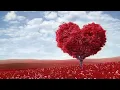 Download Lagu Em Có Còn Yêu Anh - Trúc Hồ - Kiều Loan