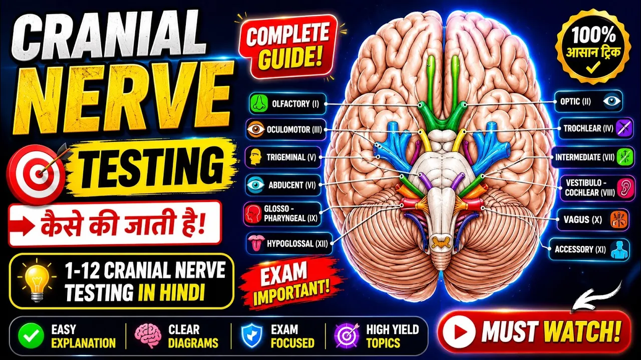cranial nerve examination | cranial nerve testing | cranial nerve testing physiotherapy