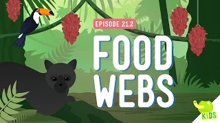 Food Webs Crash Course Kids 2