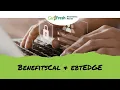 CalFresh Awareness Month Manage Your Benefits with BenefitsCal and ebtEDGE