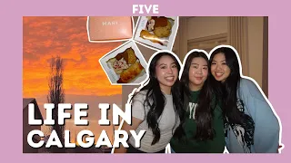 life in calgary christmas edition hangout with friends christmas market tree letitia s 2025