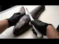 Alaska s Most Expensive Fish