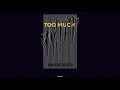 Download Lagu Andre Rizo - Too Much (Original Mix)