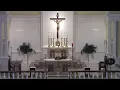 Mass of Christian Burial for Christina Quatela - Dec 18 2020