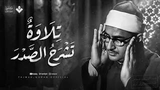 تسمعها مرة وتحبها للأبد | تلاوة تشرح الصدر من سور الفتح والحجرات وق | الشيخ المنشاوي 🎧