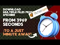 Download multiple files from 1Fichier without waiting between downloads
