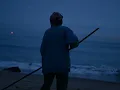 hymn of the sea bird