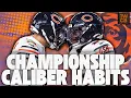 Lagu The Chicago Bears Have Developed Championship-Caliber Habits