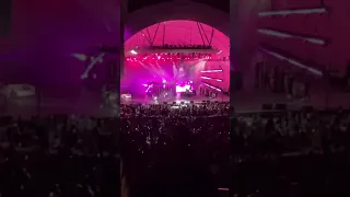 cq live no plans for love