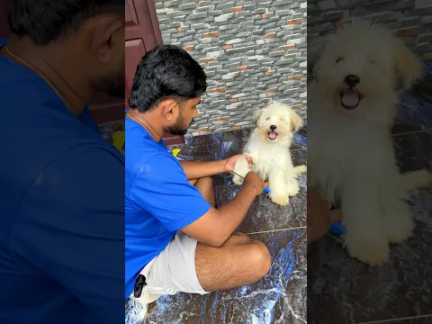 എന്നെ ഒന്നും ചെയ്യല്ലേ ഞാനൊരു പാവാ🤣🔥#kunjappan #trending #viral #shorts #comedy #funny #happy