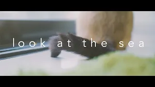 おいしくるメロンパン「look at the sea」