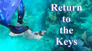 🦈BIG SPLASHES are NOT Good at the Reef🦈