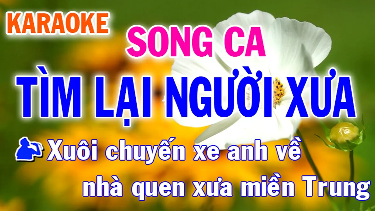 Karaoke Tìm Lại Người Xưa Song Ca Nhạc Sống l Nhật Nguyễn
