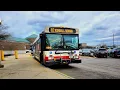 Ride CTA Bus 2008 D40LF on Route 82 from Pk to Lincolnwood T C