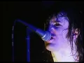 Nine Inch Nails - Wish (Live)