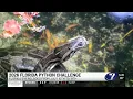 Winners of the 2026 Florida Python Challenge announced