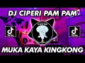 Lagu DJ CIPERI PAM PAM X MUKA KAYA KINGKONG VIRAL TIKTOK TERBARU 2022