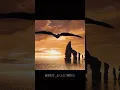 Download Lagu Romantic flight🥰|| Httyd #dragon #hiccup #astrid #toothless #httyd #httydedit #dreamworks #shorts