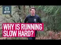 Download Lagu Why Is Running Slow So Hard?