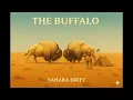 Download Lagu The BUFFALO - Sahara Drift  [Full Album] (70s Psychedelic Stoner Space Rock)