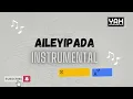 AILEYIPADA INSTRUMENTAL- SUNMISOLA AGBEBI