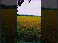 Download Lagu STORY WA TITIP RINDU BUAT AYAH ( Ebiet G Ade ) https://youtu.be/gze8Oz5EJBo