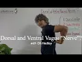 Dorsal and Ventral Vagus Nerve Learn Integral Anatomy with Gil Hedley