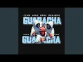 Download Lagu Guaracha Ikan Lele Kena Musibah