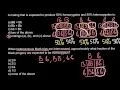How to use a Punnett square in order to solve genetics problems