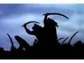 COLIBRI FILMS promo