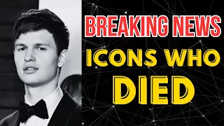 Gone Too Soon Remembering Ansel Elgort