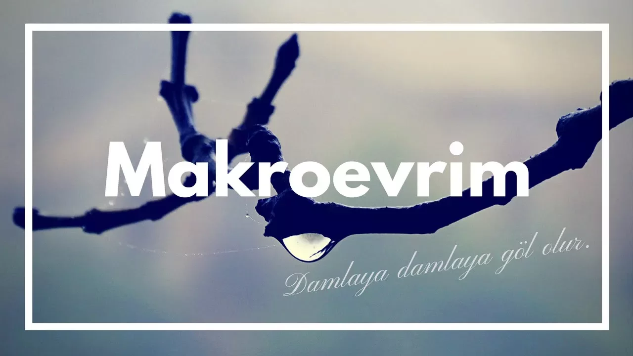 Makroevrim: Damlaya Damlaya Göl Olur!