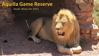 aquilla privet game reserve january 2023 