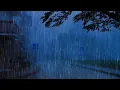 Download Lagu Barulho de Chuva para Dormir Profundamente - Som de Chuva Suave, Vento e Trovão #29 ASMR Rain Sounds