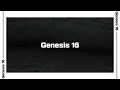 Genesis 16 Bible Reading NIV