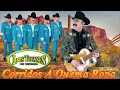 Download Lagu 🎵 Los Tucanes de Tijuana - Éxitos Inolvidables | Corridos y Canciones Más Famosas