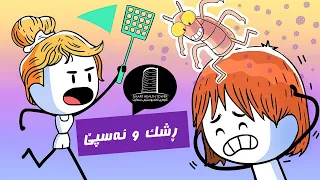 قۆناغەکانی دیاریکردنی ڕشك و ئەسپێ 