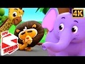 Zoo Song Learn Wild Animals Sounds with Super Supremes