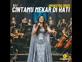 Cintamu Mekar Di Hati (Orchestra)