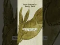 Lark-hearsals: Harpy Hare