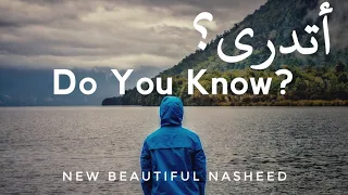                                            أتدري من يزيل الهم                                        دندنها